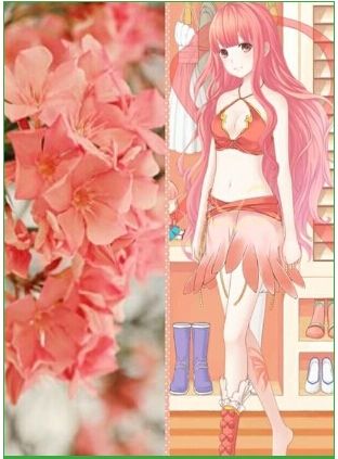 《暖暖環(huán)游世界》花兒主題裝搭配推薦