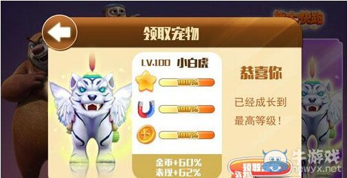 《熊出沒(méi)之熊大快跑》集換系統(tǒng)攻略 四大寵物滿級(jí)屬性一覽