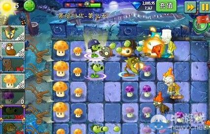 《植物大戰(zhàn)僵尸2》黑暗時代第14天通關(guān)攻略