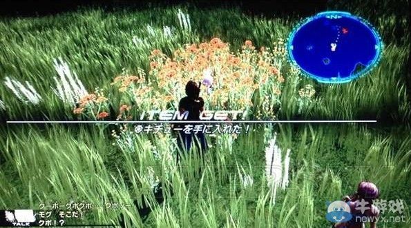 《最終幻想13-2》白種子捕獲方法