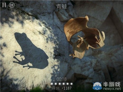 《投影尋真》通關(guān)攻略大全