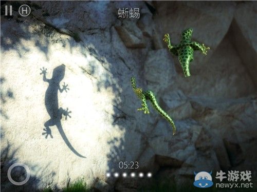 《投影尋真》通關(guān)攻略大全