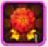 《我叫mt2》大紅花怎么玩