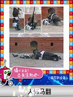 《天天愛猜圖》四字成語答案大全