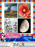《天天愛猜圖》四字成語答案大全
