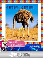 《天天愛猜圖》四字成語答案大全