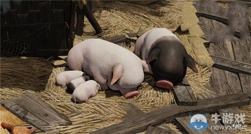 《天諭》全年PVP規劃揭秘 各大玩法等你來戰