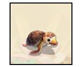 《大話西游》手游海龜屬性圖鑒