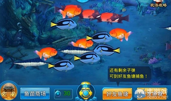 《靈域修真》靈池捕魚怎么玩