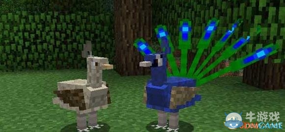 《我的世界》1.7.10珍奇鳥類MOD介紹
