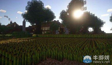 《我的世界》南瓜種植方法