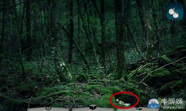 《逃離樹海》通關(guān)攻略大全