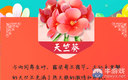 《QQ飛車》天竺葵介紹