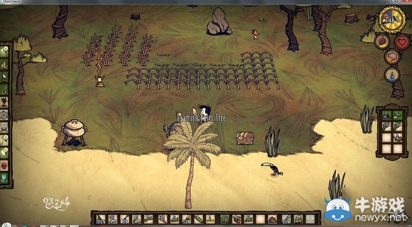 《饑荒》DLC海難鵜鶘丟失解決方法