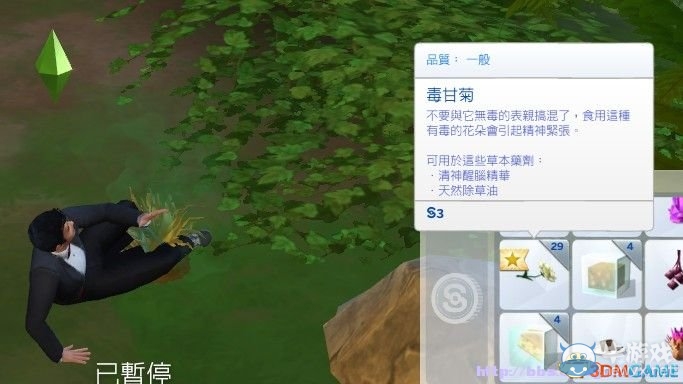 《模擬人生4：同歡共樂》毒甘菊采集位置介紹