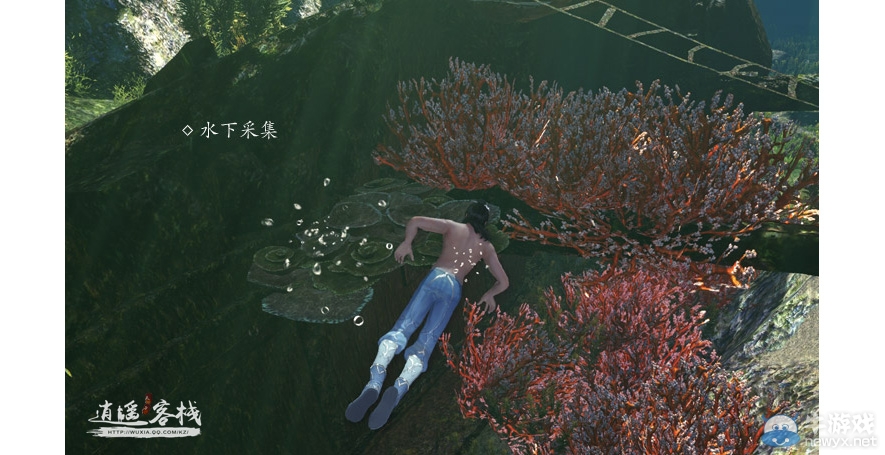 《天涯明月刀》玩家暢玩體驗