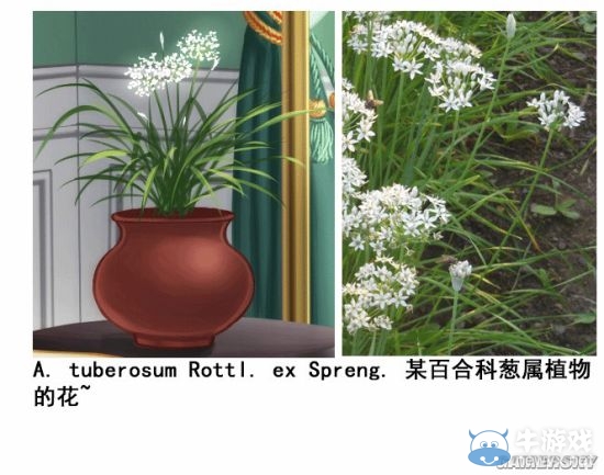 《戰(zhàn)艦少女r》提督的房間細節(jié)一覽