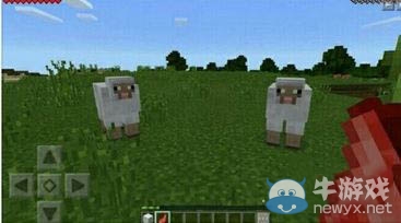 《我的世界手機版》0.15.0羊肉獲得方法介紹