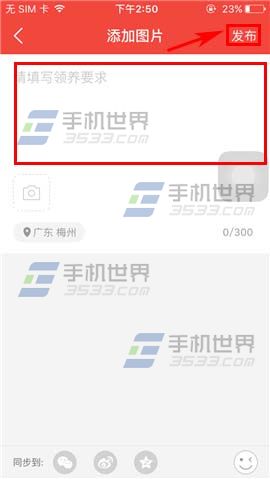 《有寵》怎么發(fā)布領養(yǎng)