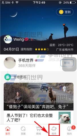 《有寵》怎么發(fā)布領養(yǎng)