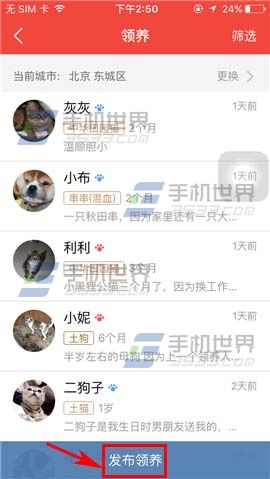 《有寵》怎么發(fā)布領養(yǎng)
