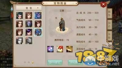 《問道》手游攻擊型寵物排行榜
