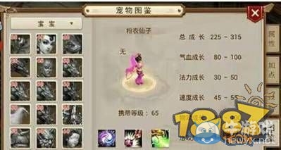 《問道》手游攻擊型寵物排行榜