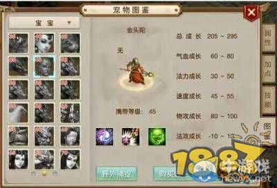《問道》手游攻擊型寵物排行榜