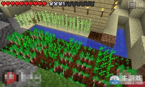 《我的世界》甜菜種子作用及獲得方法介紹