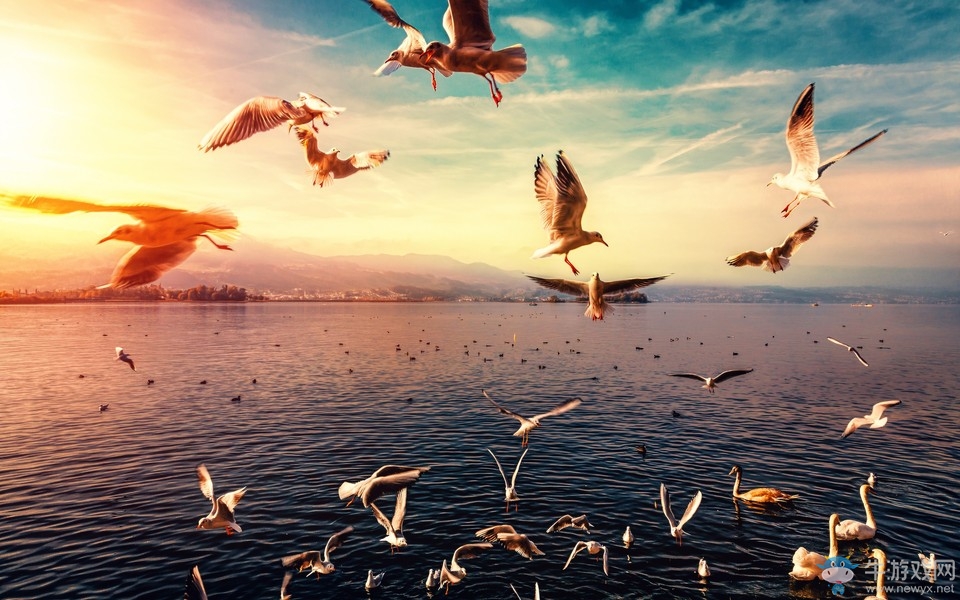 游戲網名大全——好聽的游戲網名伴你游戲人生