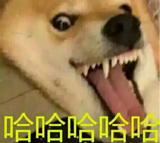 《我的世界》名字大全