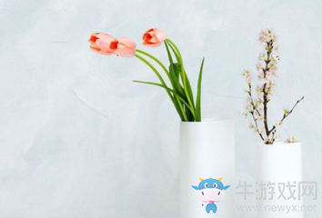 《我的世界》名字大全