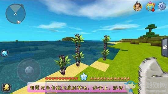 《迷你世界》甘蔗在哪里找
