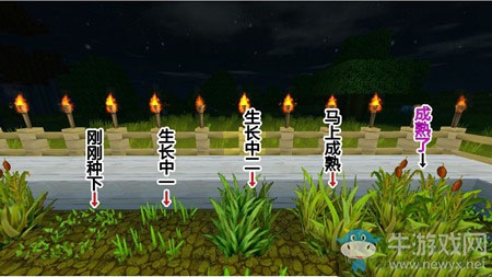《迷你世界》農(nóng)場(chǎng)怎么做