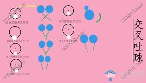 《球球大作戰(zhàn)》入門基礎(chǔ)技巧介紹