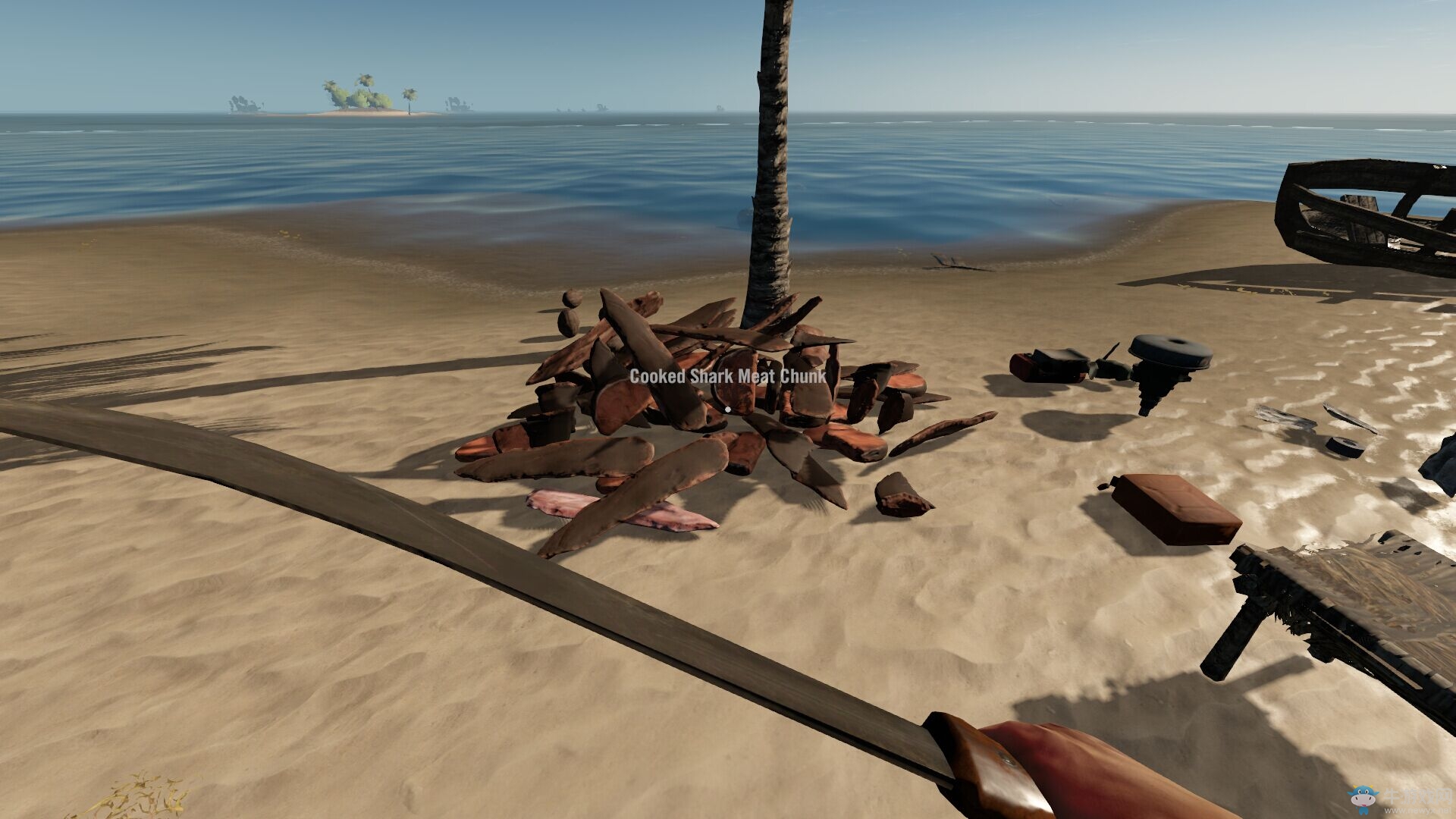 《荒島求生》鯊魚捕捉方法說明