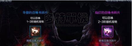 《DNF移動版》寵物如何獲取 寵物獲取途徑介紹