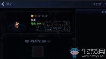 《DNF移動版》寵物如何獲取 寵物獲取途徑介紹