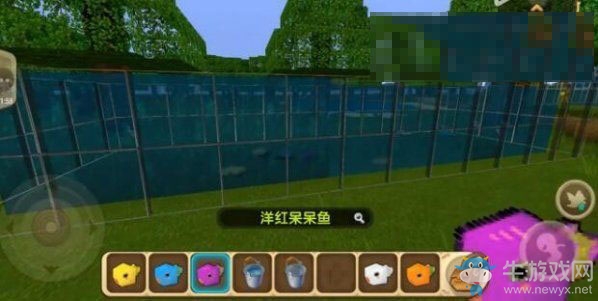 《迷你世界》燈籠魚繁殖攻略