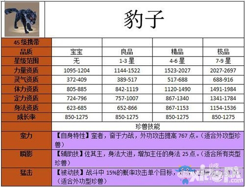 《天龍八部》手游豹子寶寶怎么樣 豹子寶寶屬性圖鑒