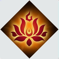 《夢間集》五花角色圖鑒匯總一覽
