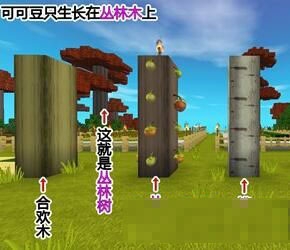 《迷你世界》可可豆獲得方法