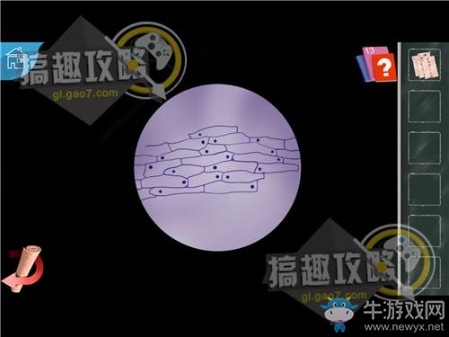 《逃脫者蘿莉》全關(guān)卡通關(guān)攻略大全