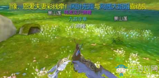 《九州天空城3D》白發(fā)書生淚奇遇任務(wù)攻略