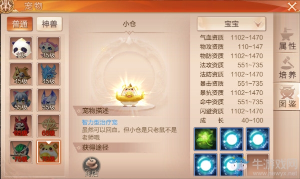 《九州天空城3D》寵物介紹