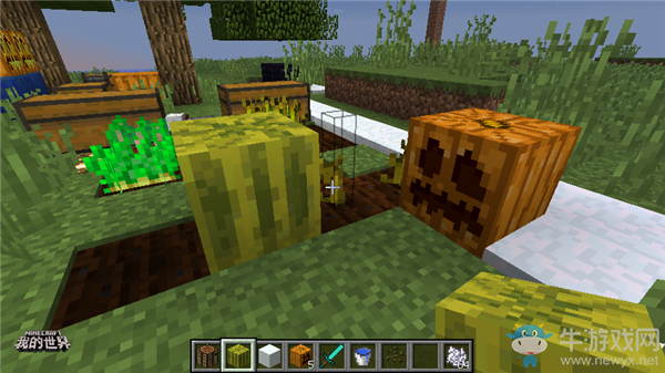 《我的世界》手游農作物及其用途介紹