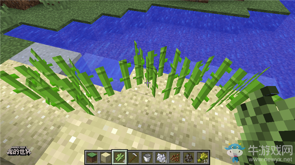 《我的世界》手游農作物及其用途介紹