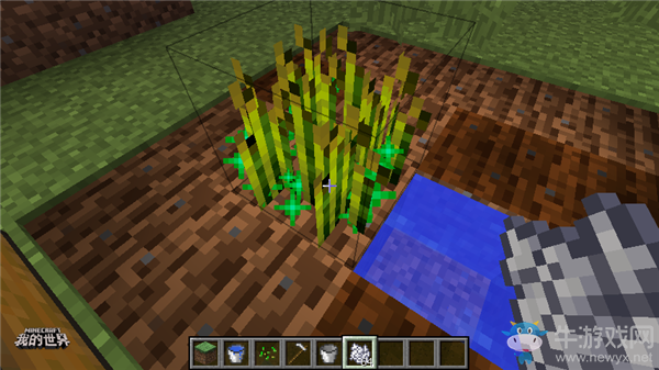 《我的世界》手游農作物及其用途介紹
