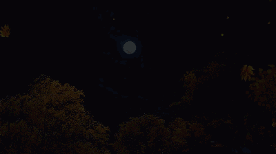 《天涯明月刀》手游圣繡·瑤池外觀介紹