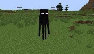 《我的世界》小黑怎么打？